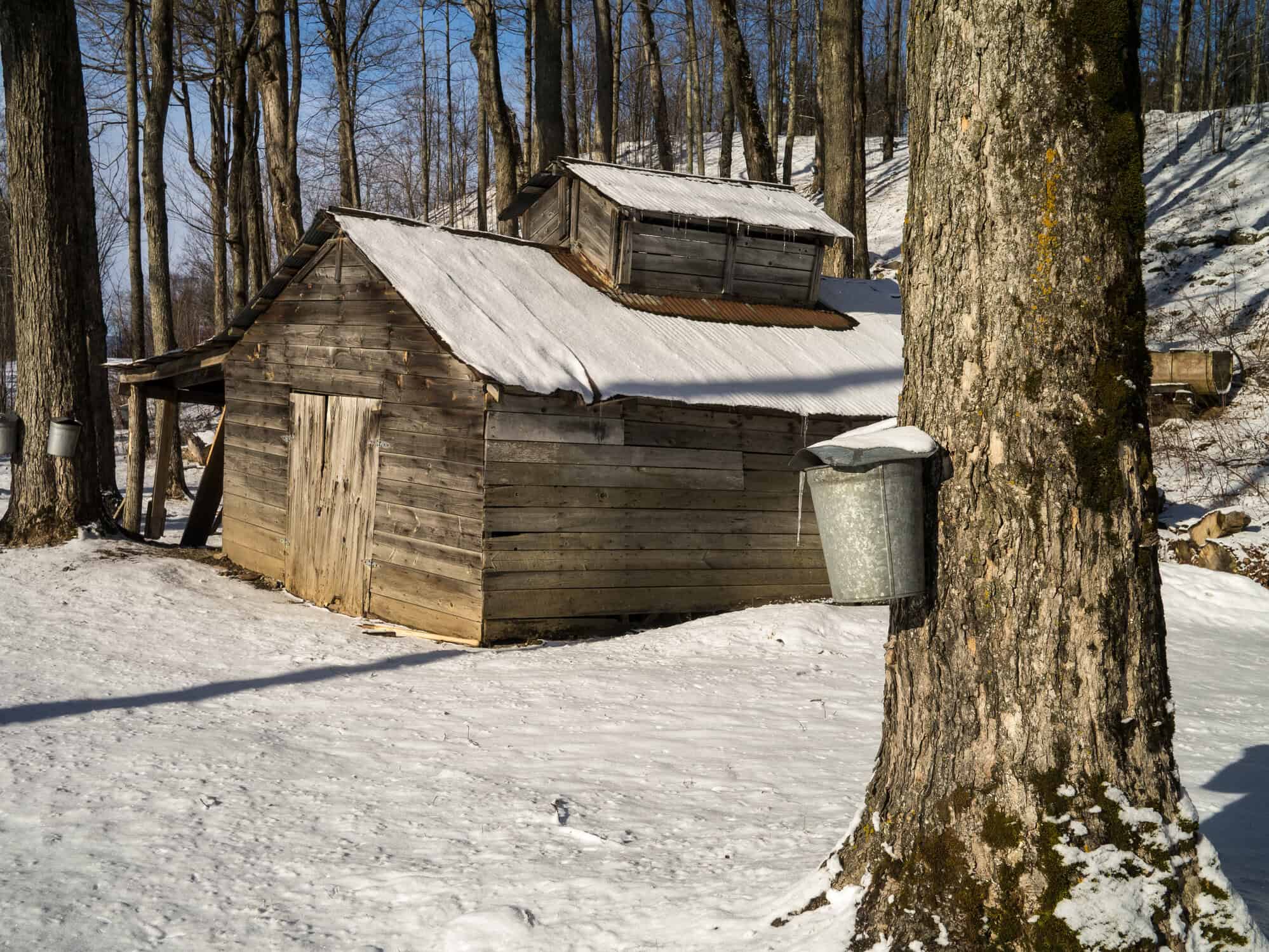 Vermont late season snow_2405 - Weather South Dakota: Drought Retreats, but Summer Risks Loom