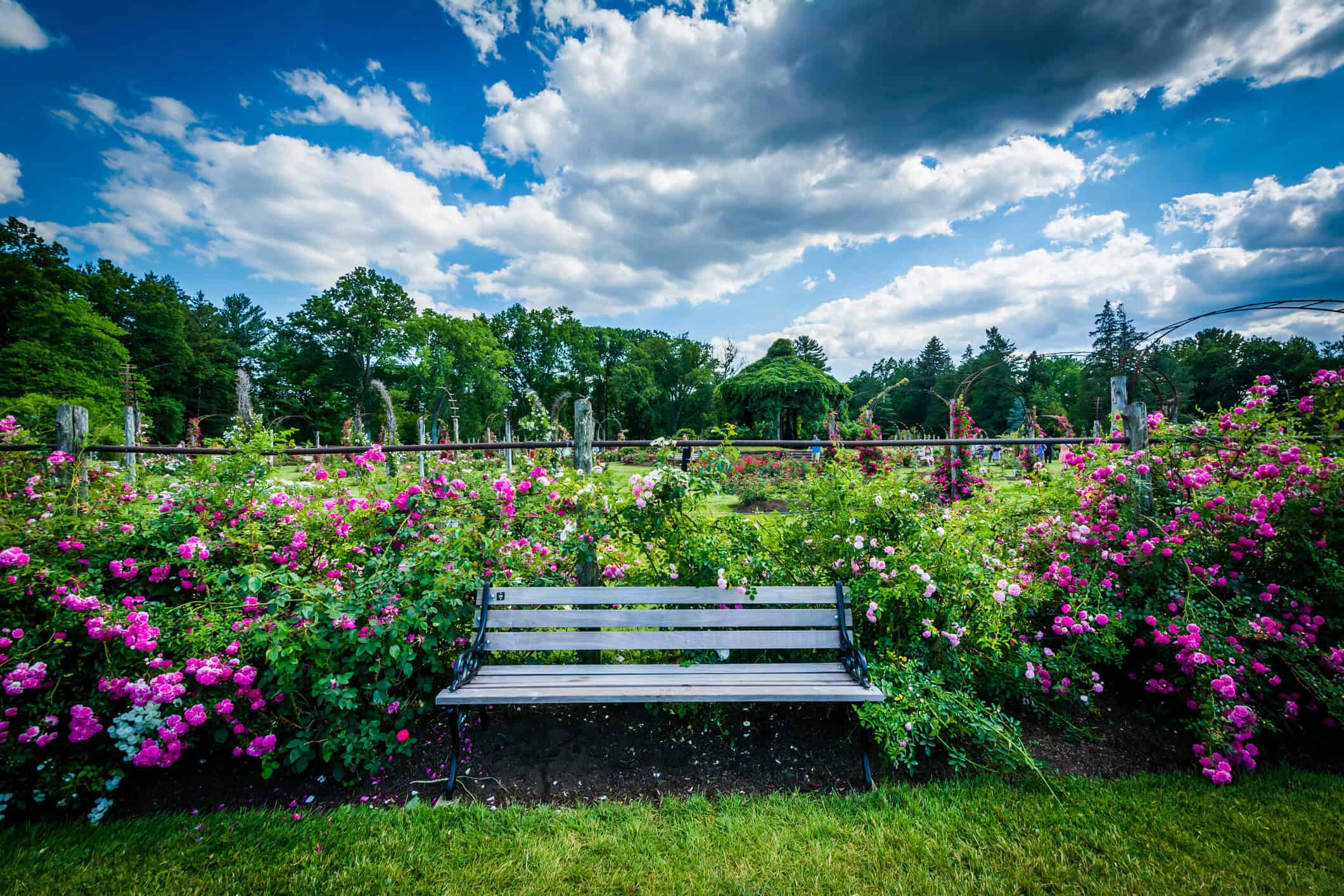 connecticut-storm-0807 - Weather New Jersey: Fall 2025 may stay warm and dry