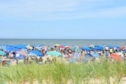 delaware hot-2507