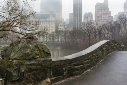 new york rain-1807